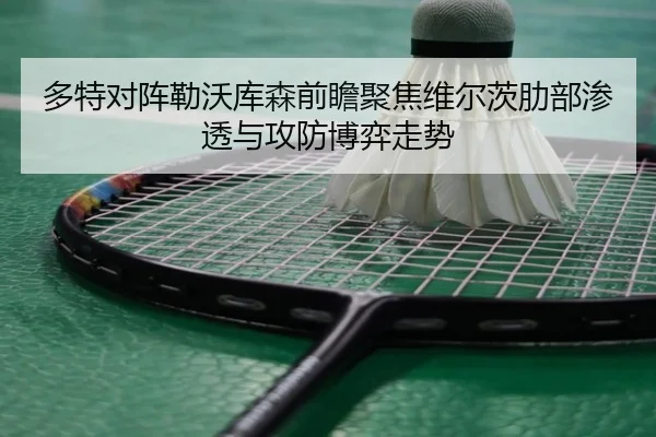 多特对阵勒沃库森前瞻聚焦维尔茨肋部渗透与攻防博弈走势 - kaiyun